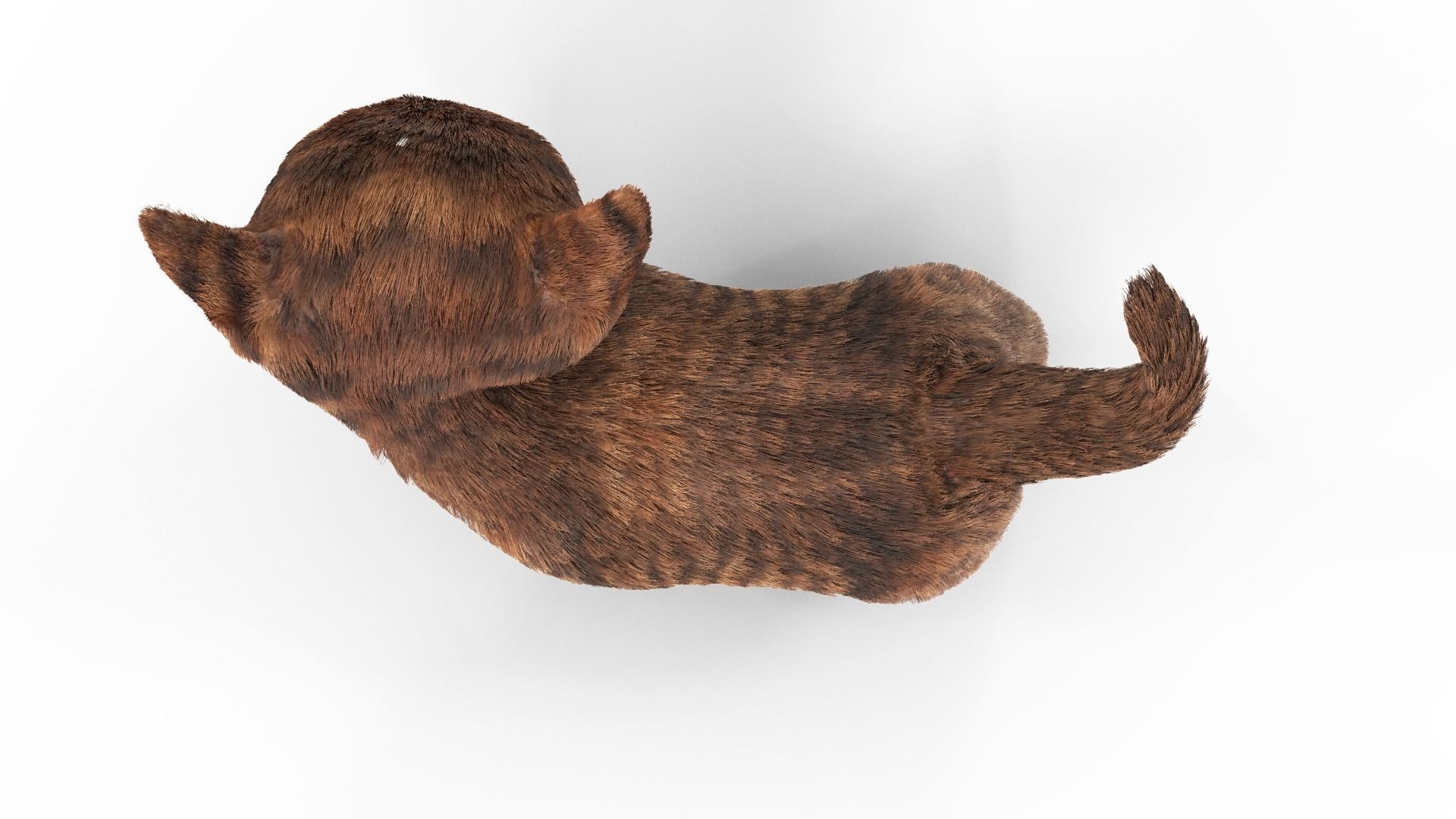 Fur Cure Kitten Red 02 Low-poly 3D model_6