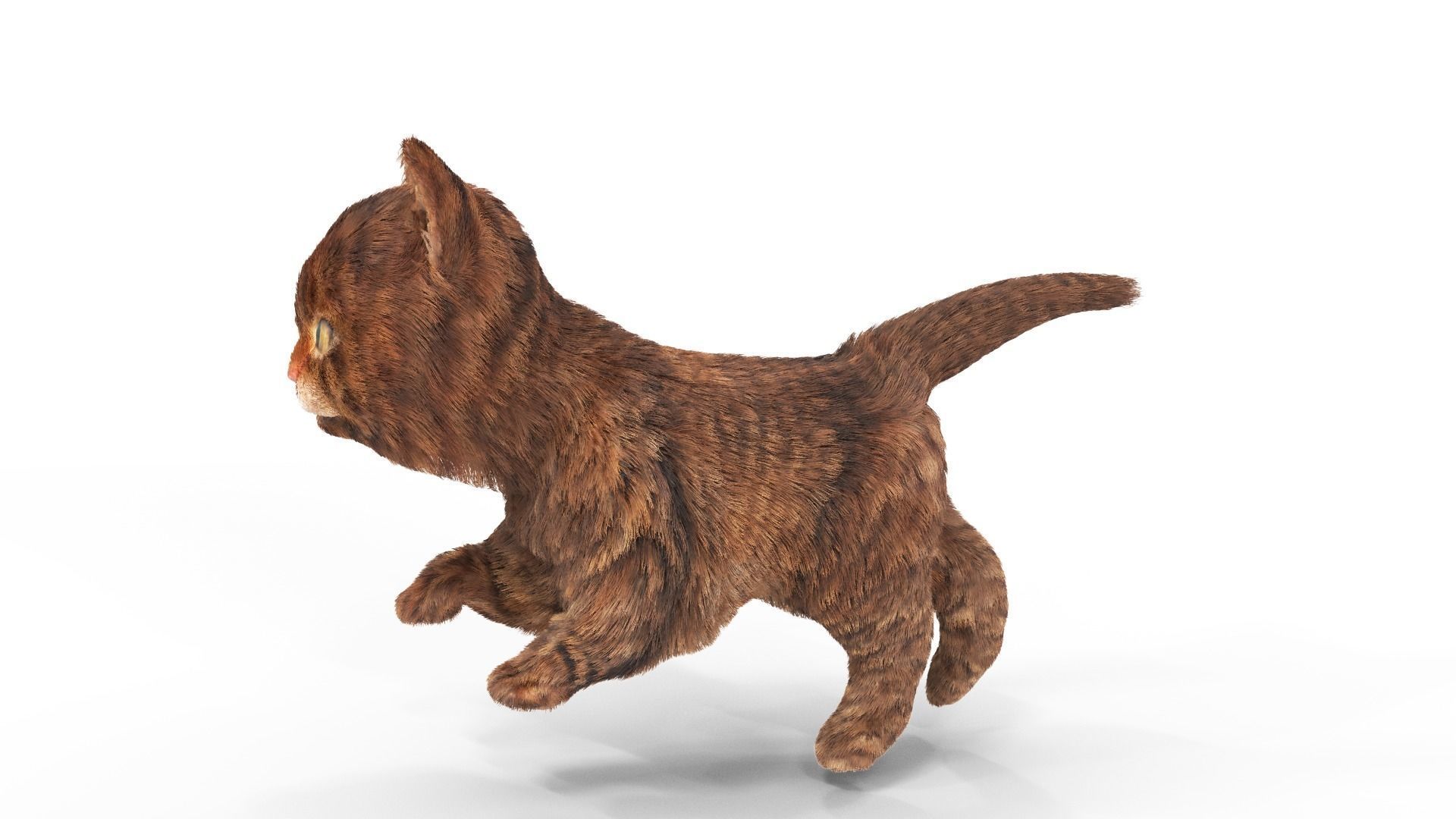Fur Cure Kitten Red 02 Low-poly 3D model_1