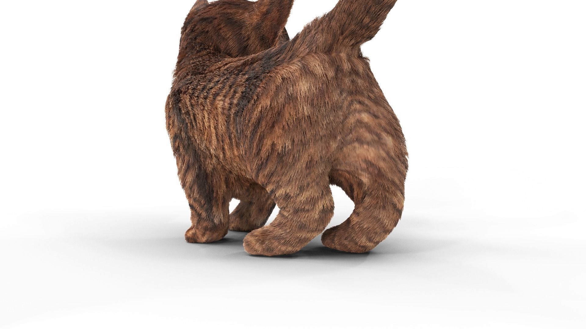 Fur Cure Kitten Red 02 Low-poly 3D model_3