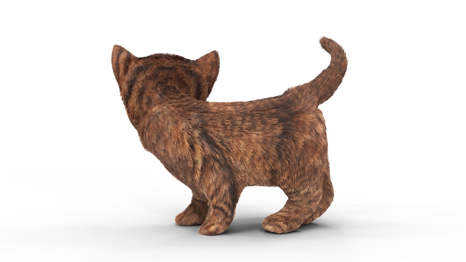 Fur Cure Kitten Red 02 Low-poly 3D model_5