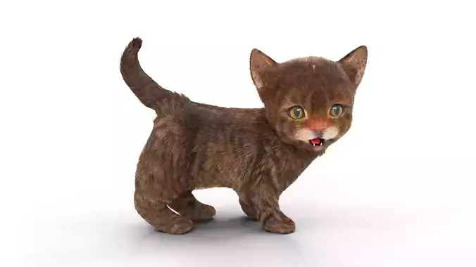 Fur Cure Kitten Red 02