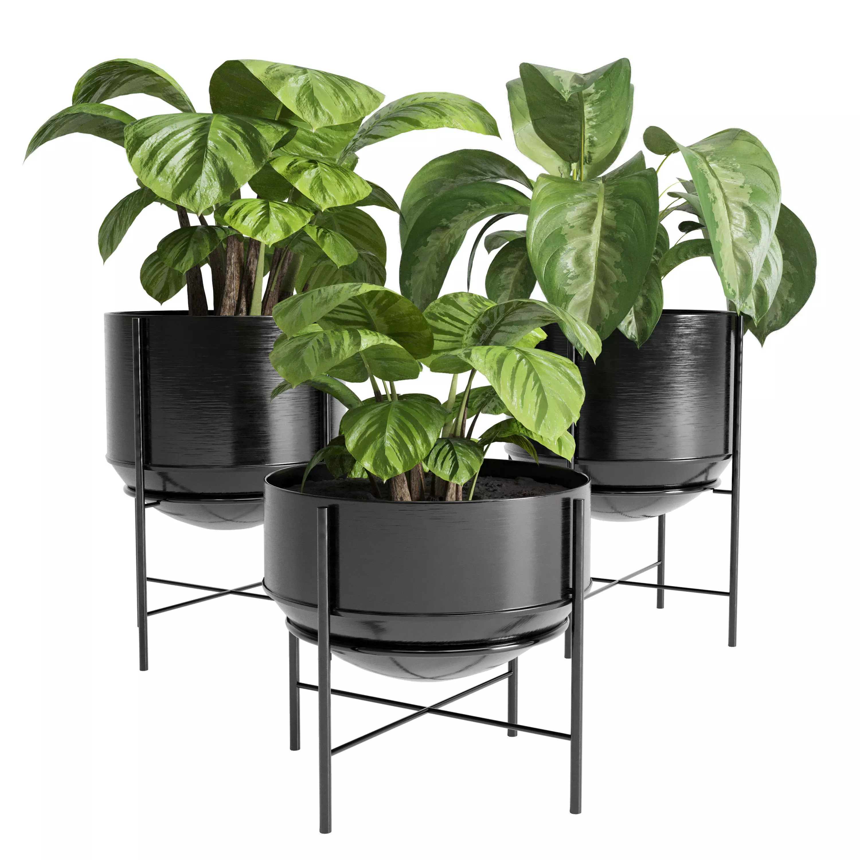 collection Indoor plant 36 metal vase Low-poly 3D model