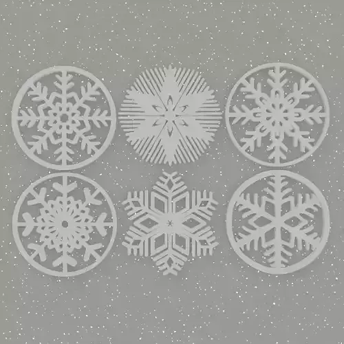 Snow Flake Coaster Set 6 Pieces 3D print model