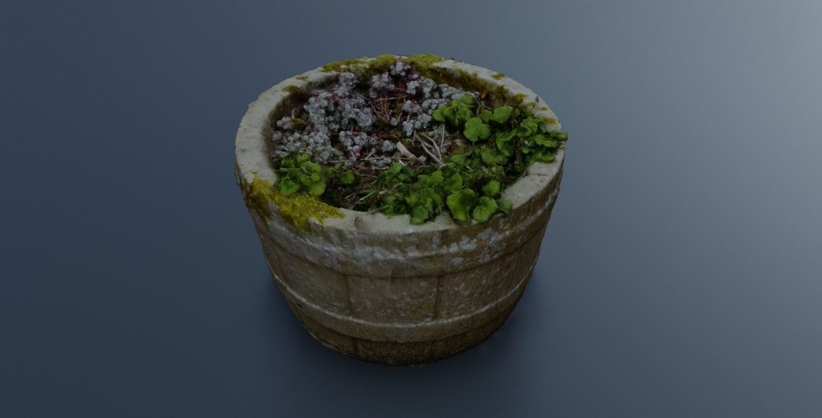 Plant Pot 3D Model Texture_4