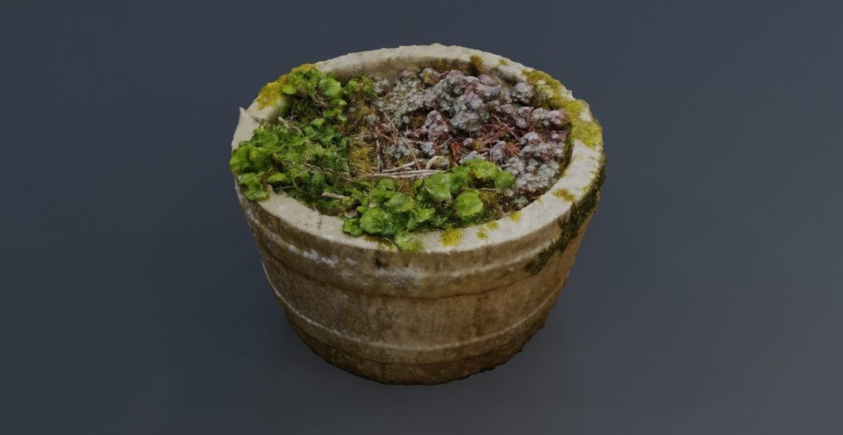 Plant Pot 3D Model Texture_1