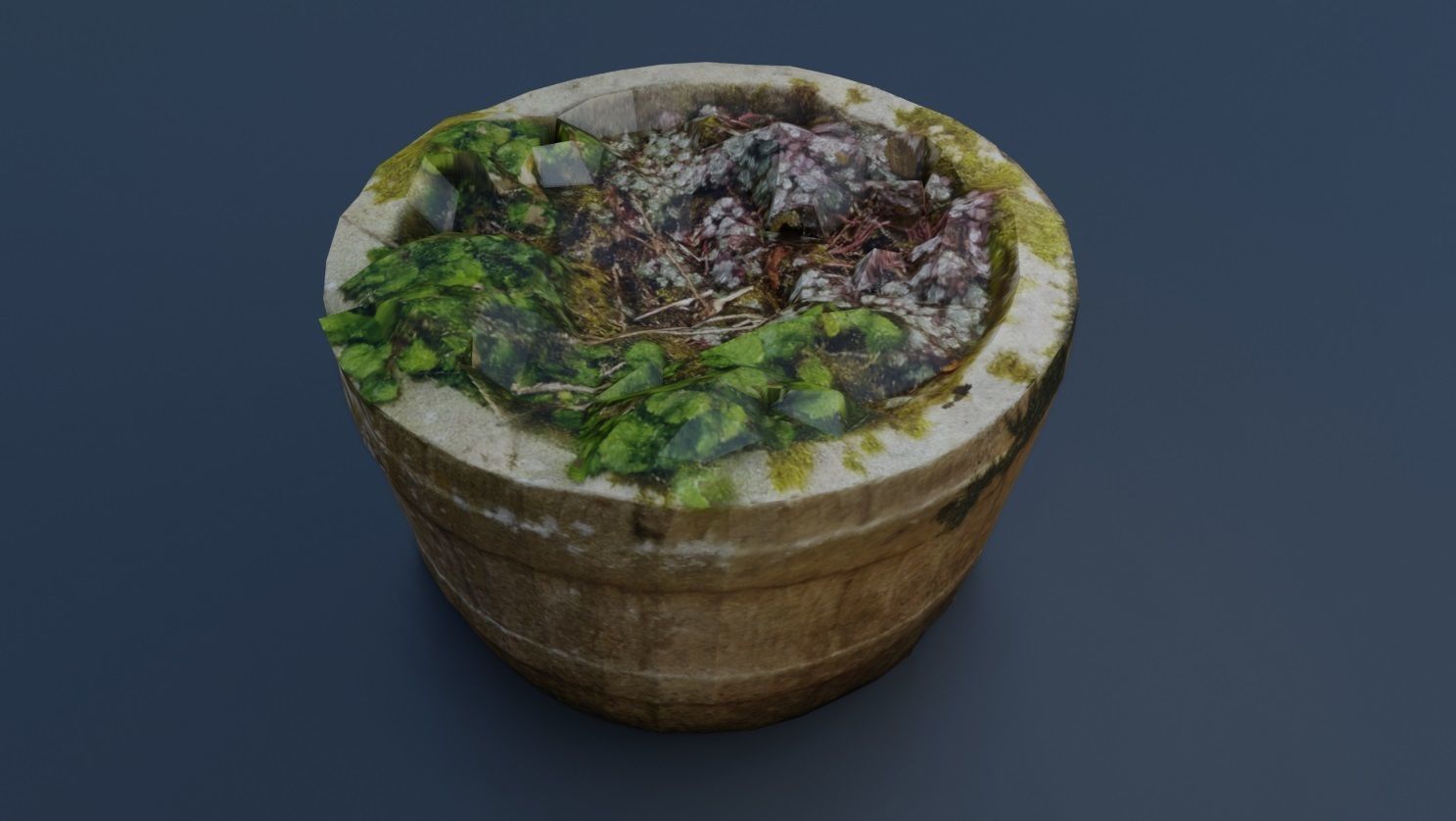 Plant Pot 3D Model Texture_10