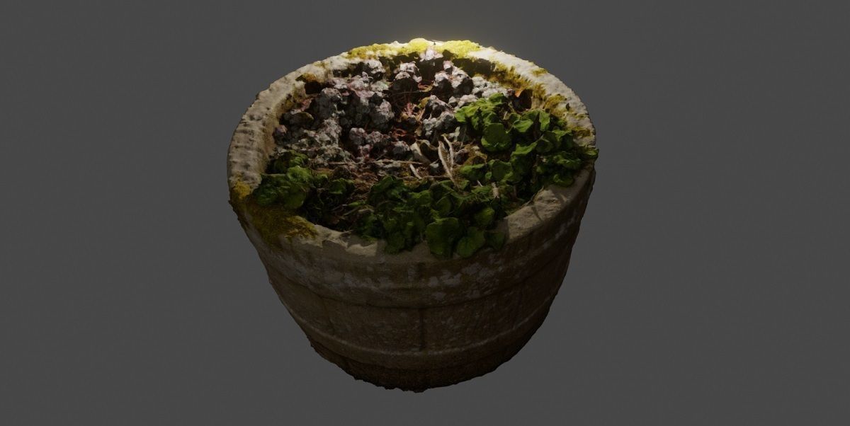 Plant Pot 3D Model Texture_8