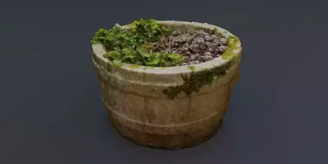 Plant Pot 3D Model Texture