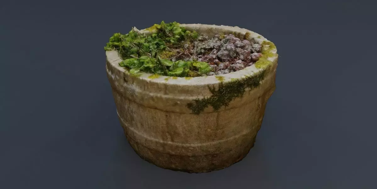 Plant Pot 3D Model Texture_0