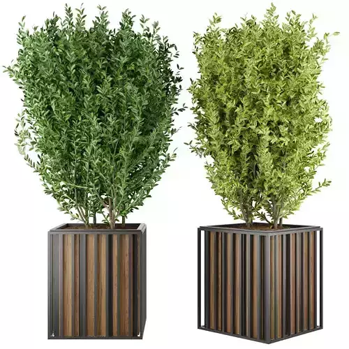 Collection plant vol 94