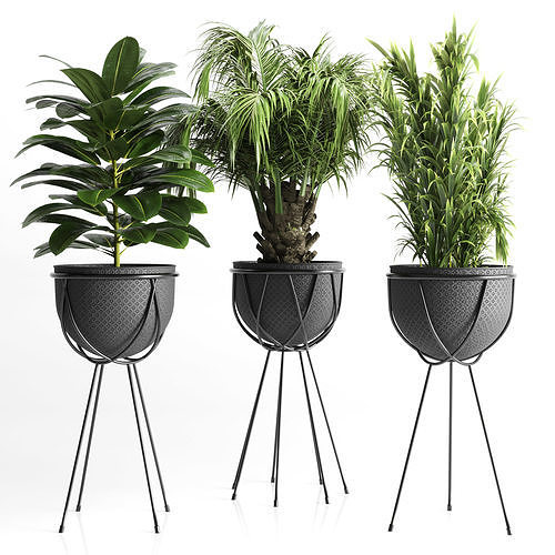collection Indoor plant 41-metal vase Low-poly 3D model