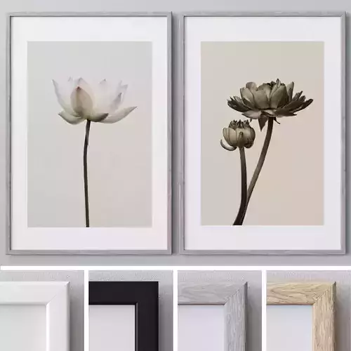 Photo Frames Set  242