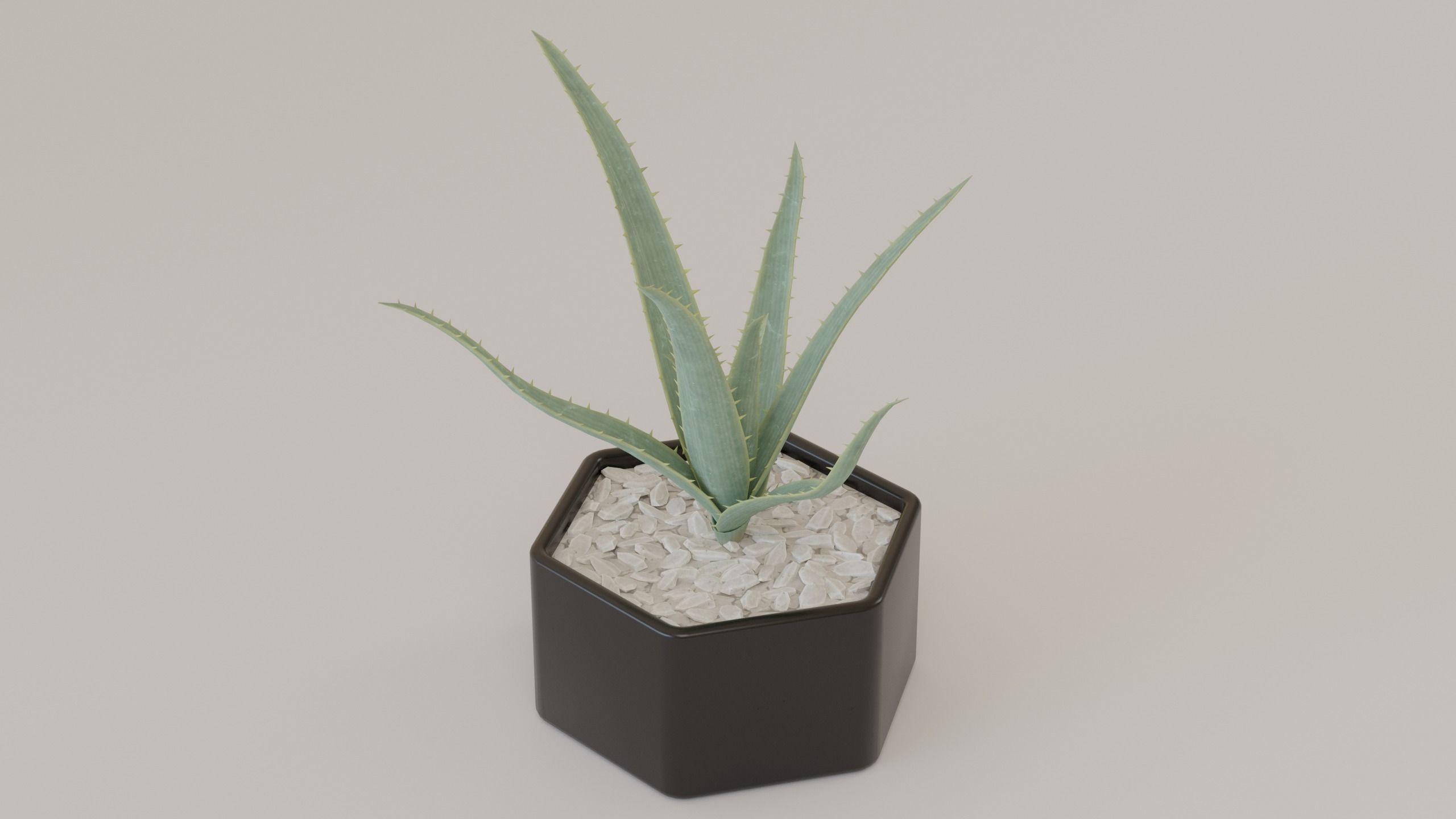 Succulents and cactus set 3D model_2