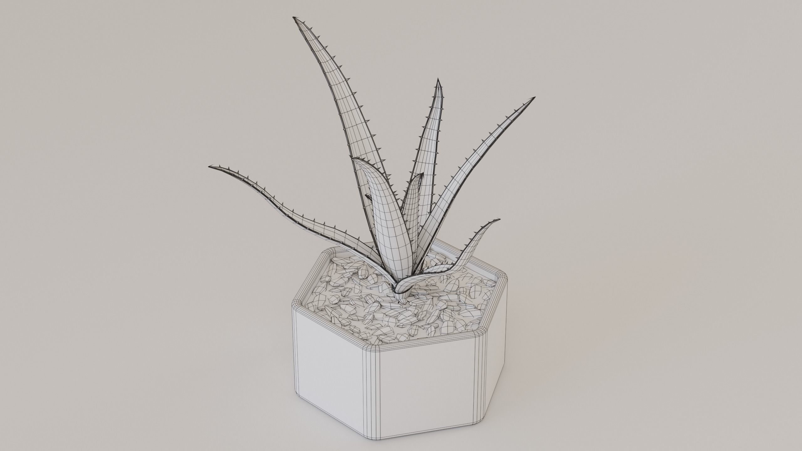 Succulents and cactus set 3D model_9