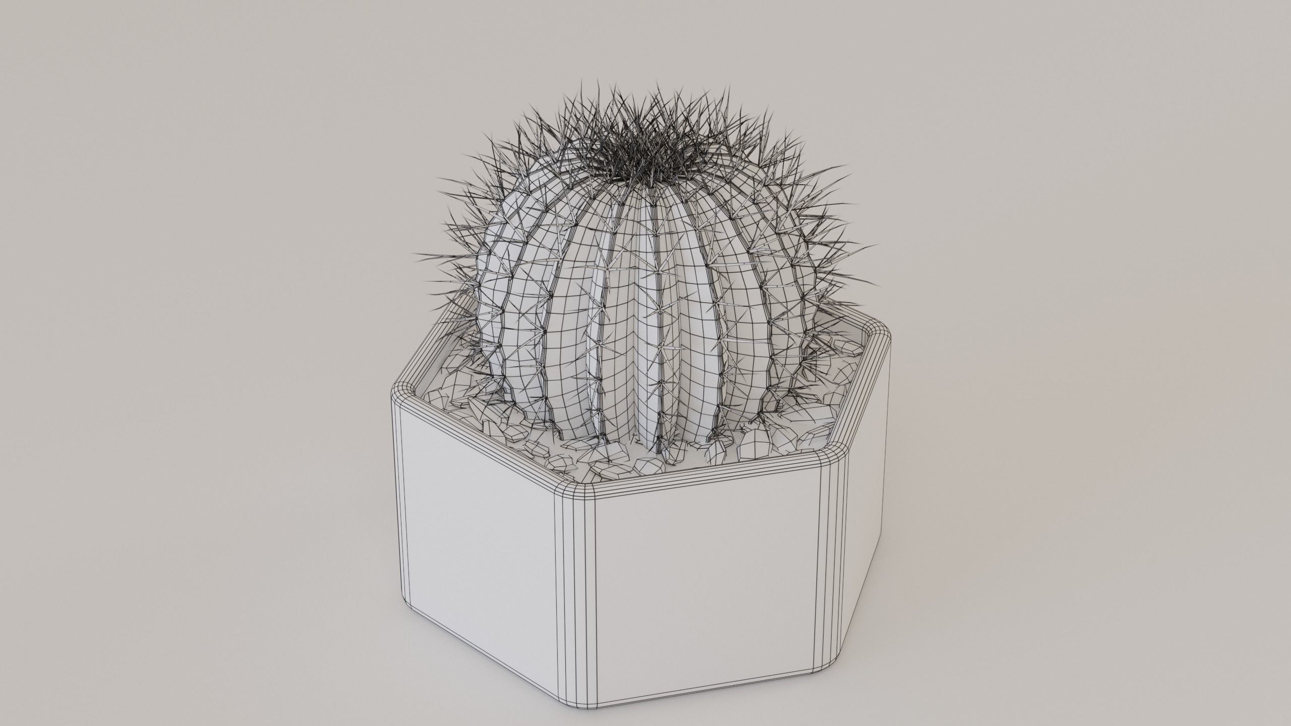 Succulents and cactus set 3D model_12