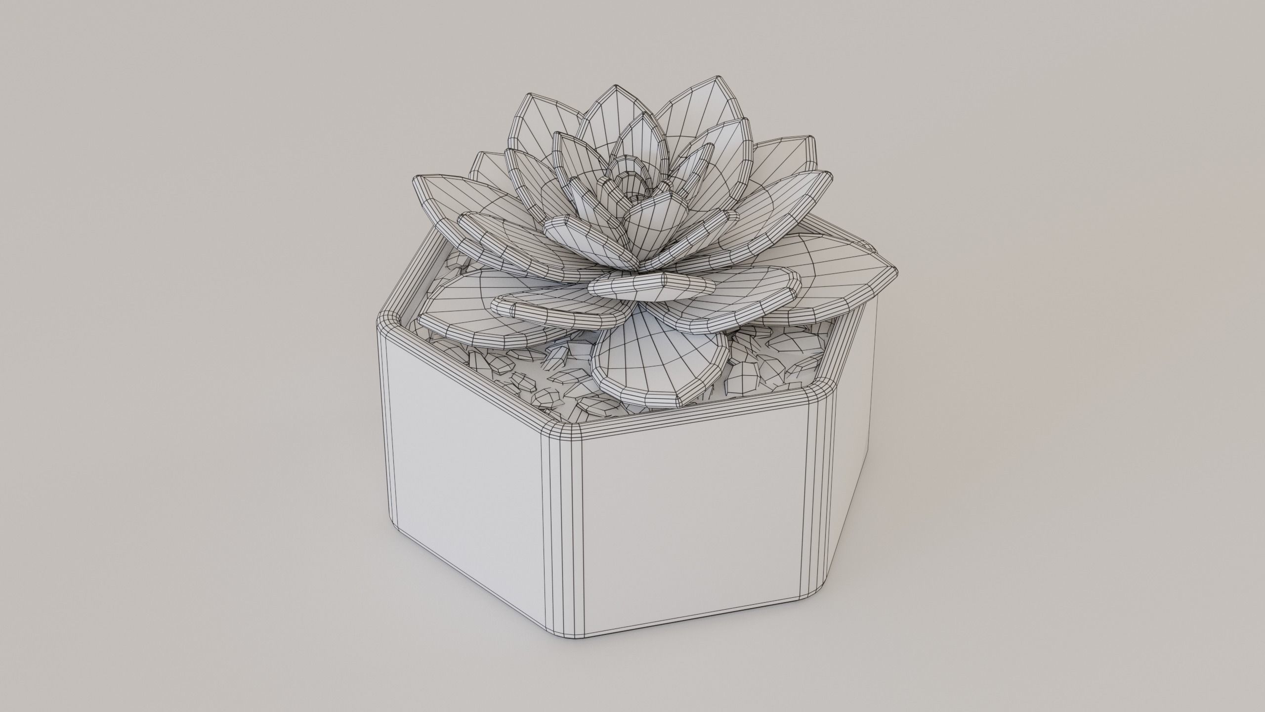 Succulents and cactus set 3D model_13