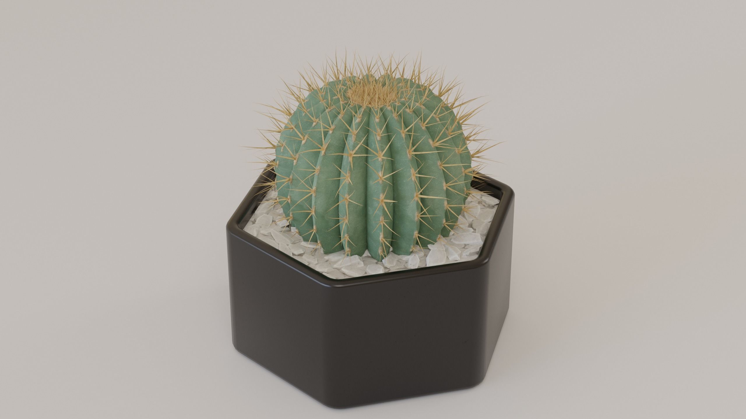 Succulents and cactus set 3D model_5