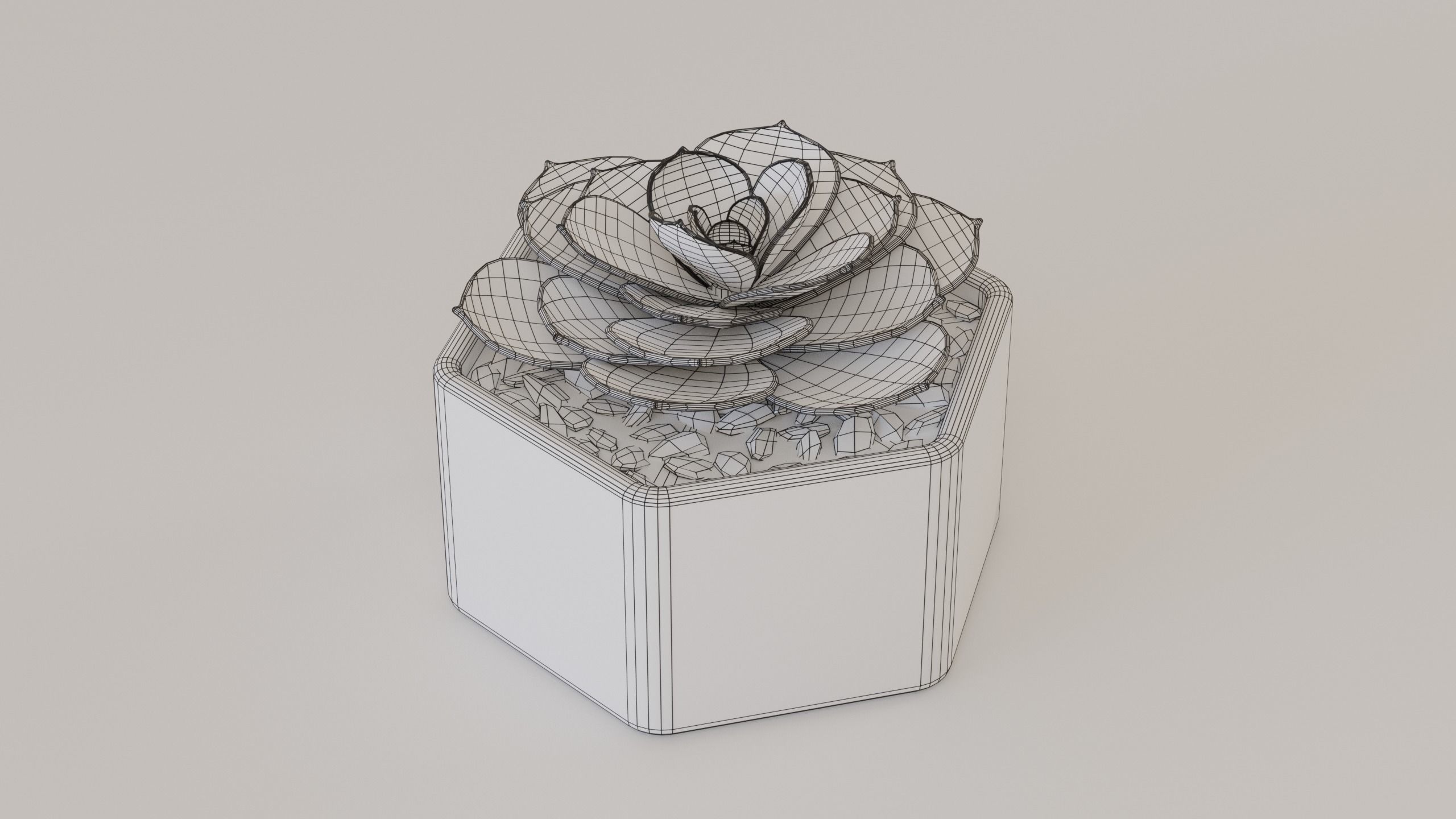 Succulents and cactus set 3D model_11