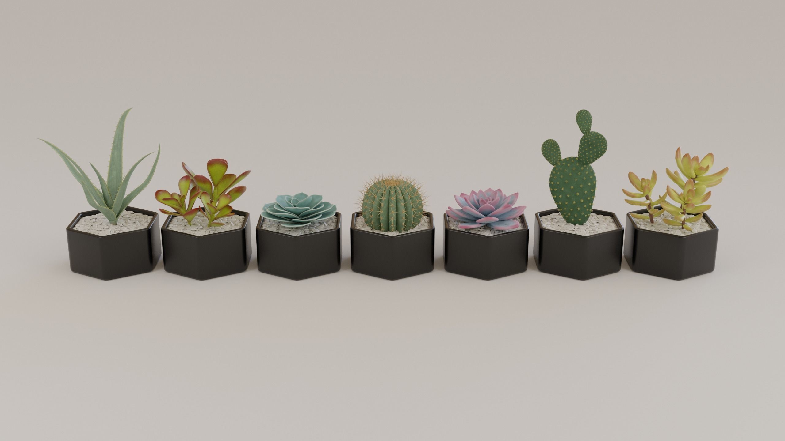 Succulents and cactus set 3D model_1