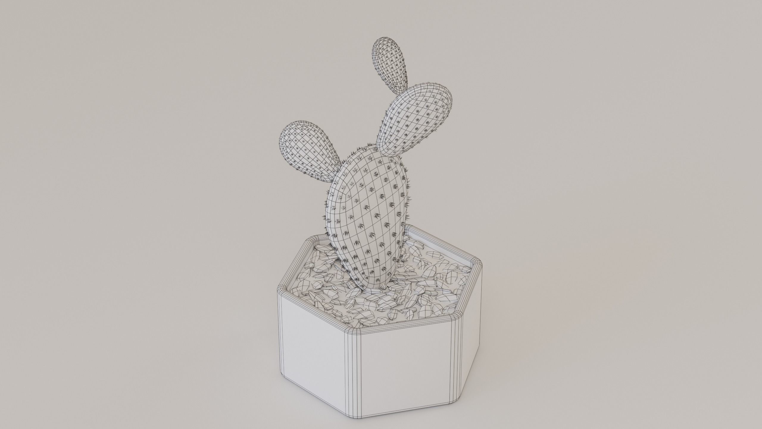 Succulents and cactus set 3D model_14