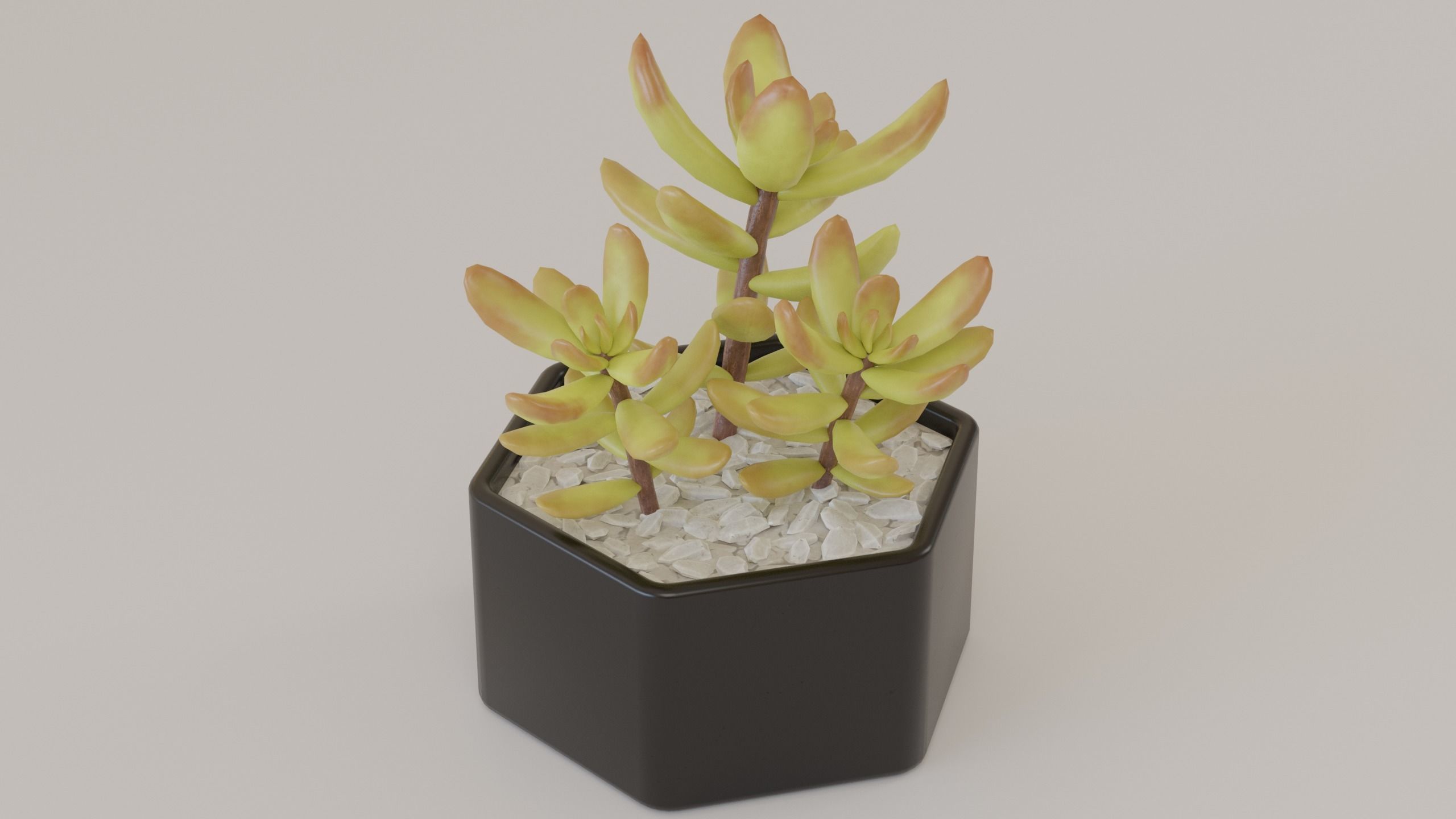 Succulents and cactus set 3D model_8
