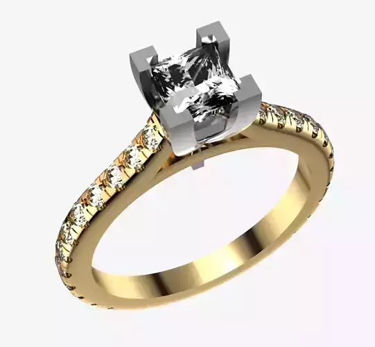 Princess Cut Engagement Ring