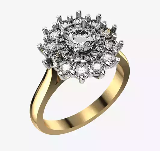 Double Halo Cluster Ring