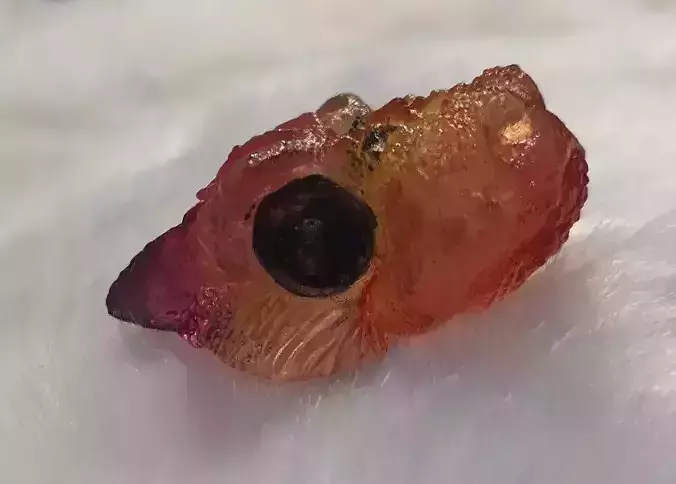 FEATHERED DRAGON VELOCIRAPTOR DINOSAUR JEWELLERY PENDANT