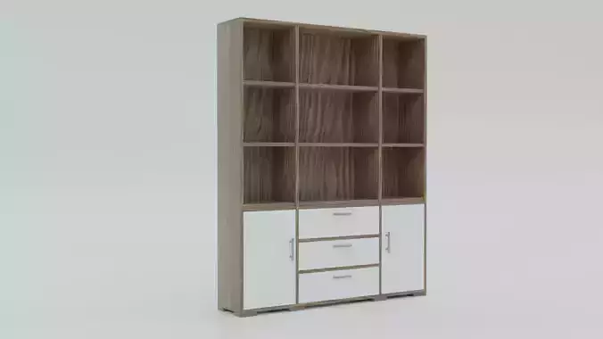 Iwaki Bookshelf