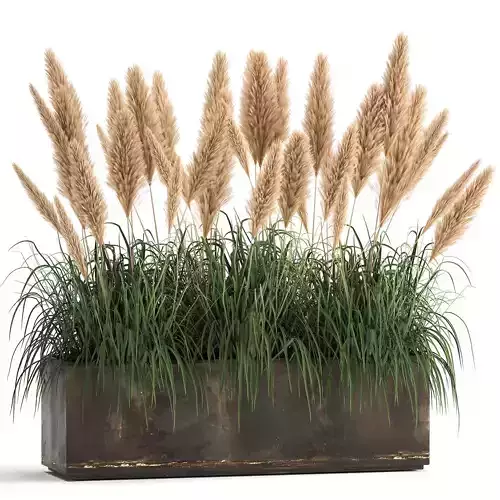 Reeds in a rusty flower pot for the interior 932