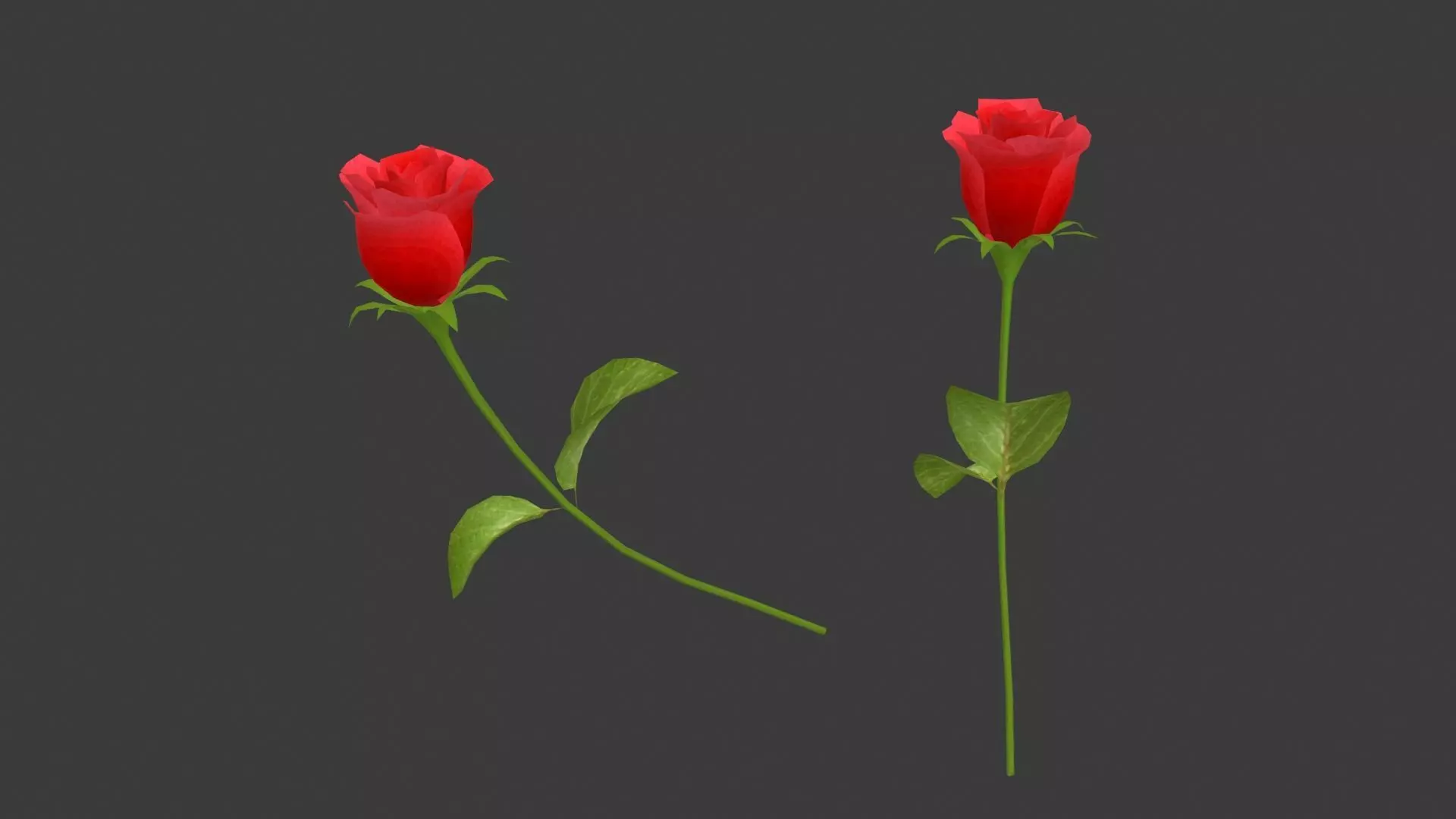 A rose two roses Low-poly 3D model_0