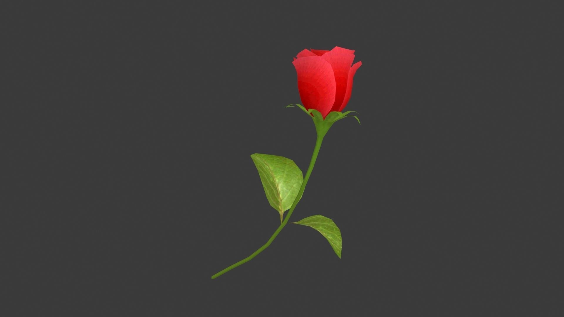 A rose two roses Low-poly 3D model_3