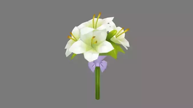 Cartoon lily bouquet - Carnation - Holding flowers