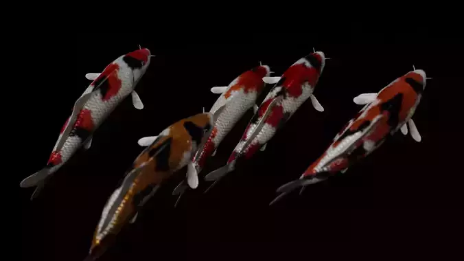 Koi fish Low-poly 3D model