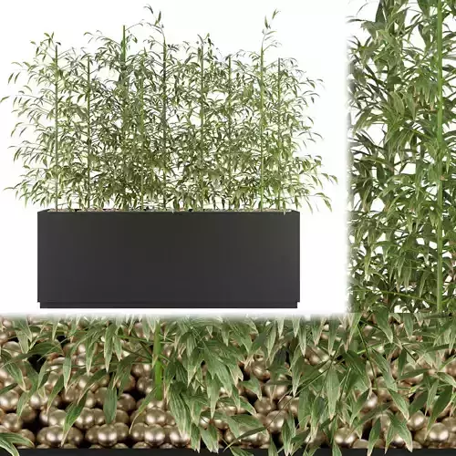 Collection plant vol 95