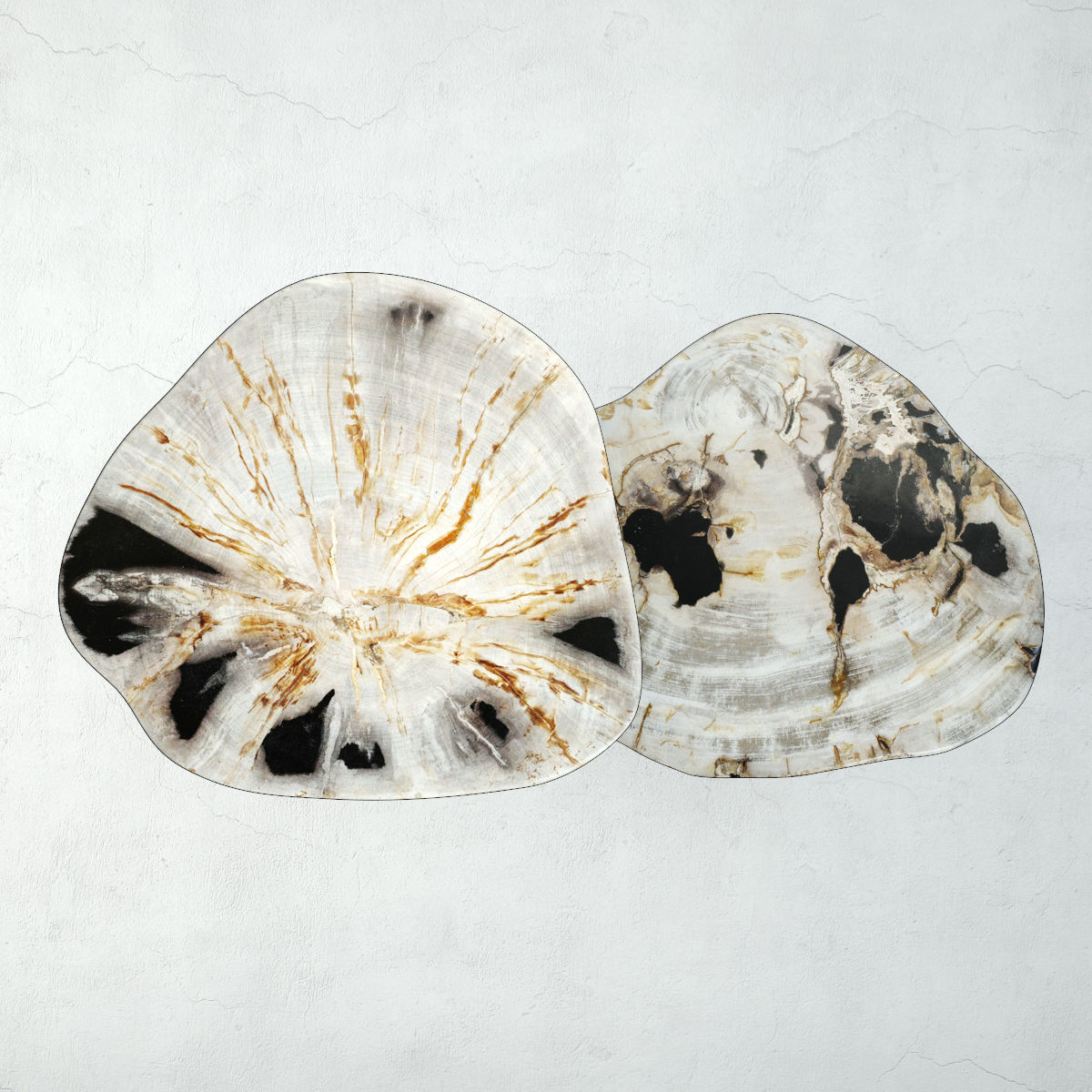 Petrified Wood Slice Coffee Tables 3 3D model_5