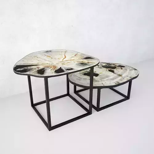 Petrified Wood Slice Coffee Tables 3 3D model