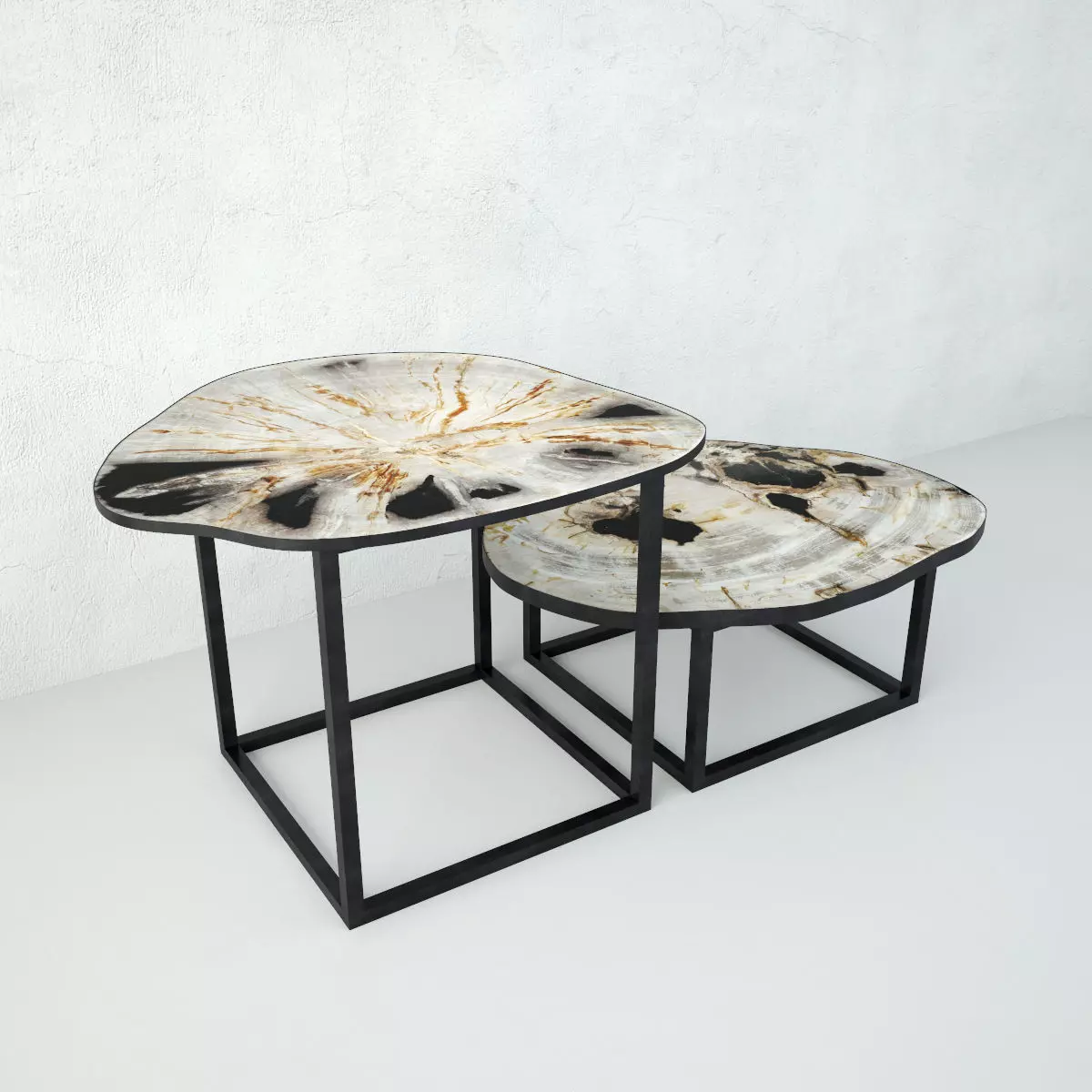 Petrified Wood Slice Coffee Tables 3 3D model_0