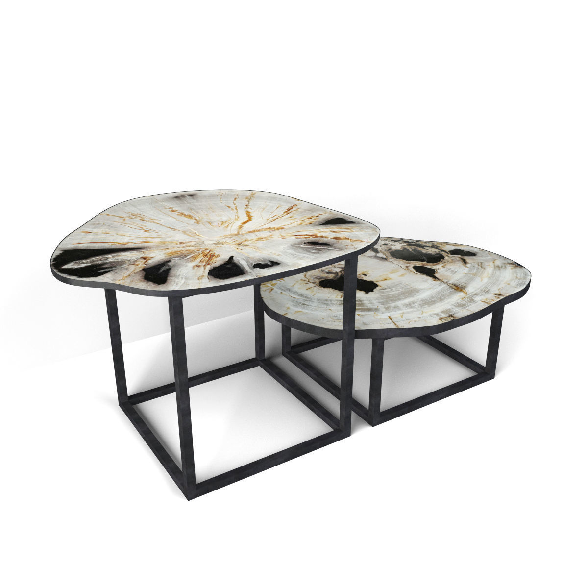 Petrified Wood Slice Coffee Tables 3 3D model_1