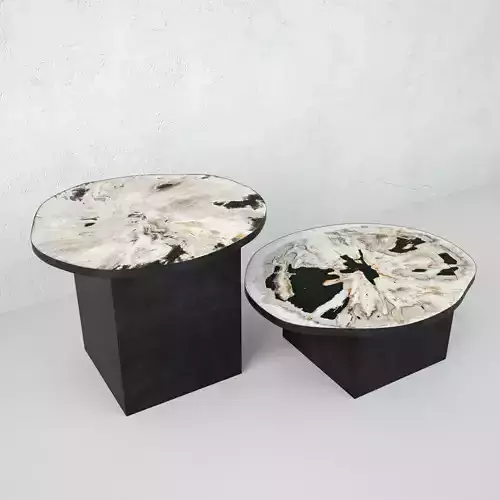 Petrified Wood Slice Coffee Tables 2 3D model
