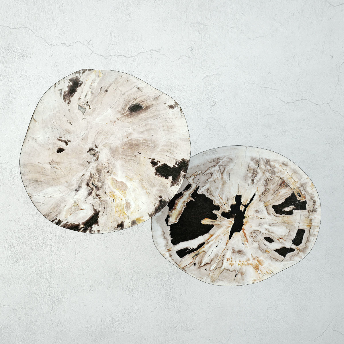 Petrified Wood Slice Coffee Tables 2 3D model_5