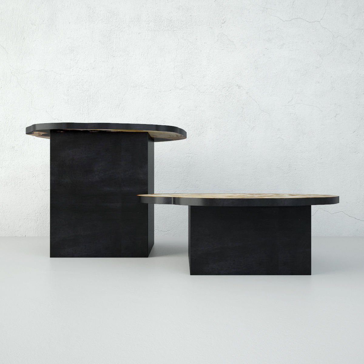 Petrified Wood Slice Coffee Tables 4 3D model_3