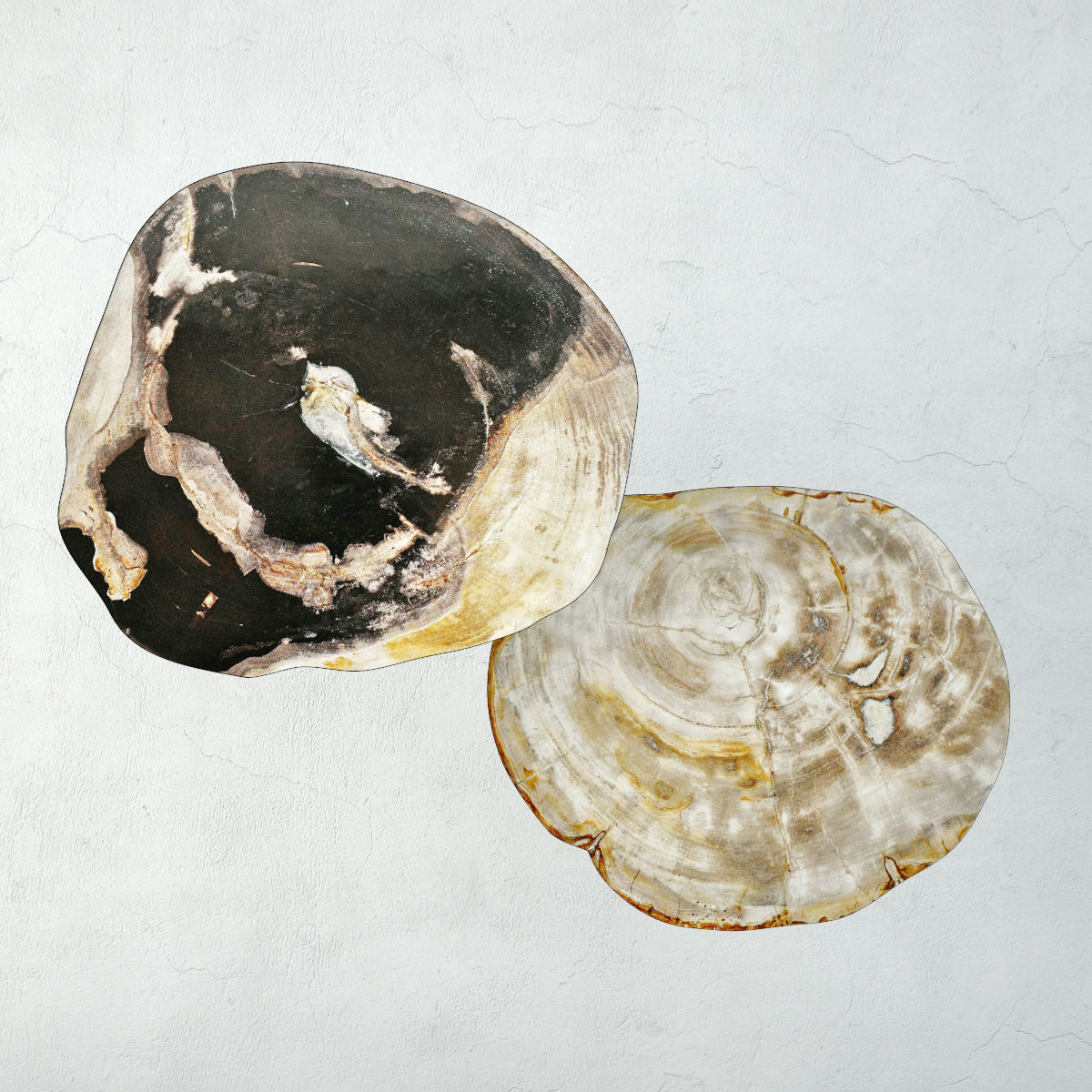 Petrified Wood Slice Coffee Tables 4 3D model_5