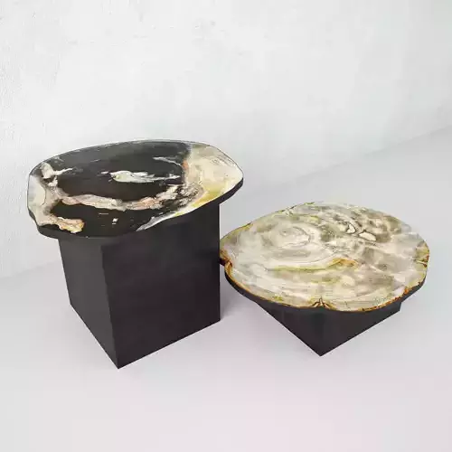 Petrified Wood Slice Coffee Tables 4 3D model