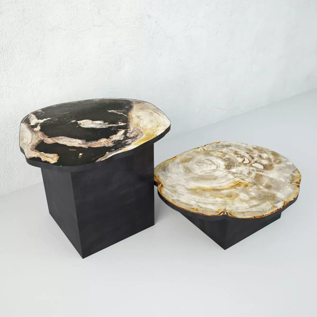 Petrified Wood Slice Coffee Tables 4 3D model_0