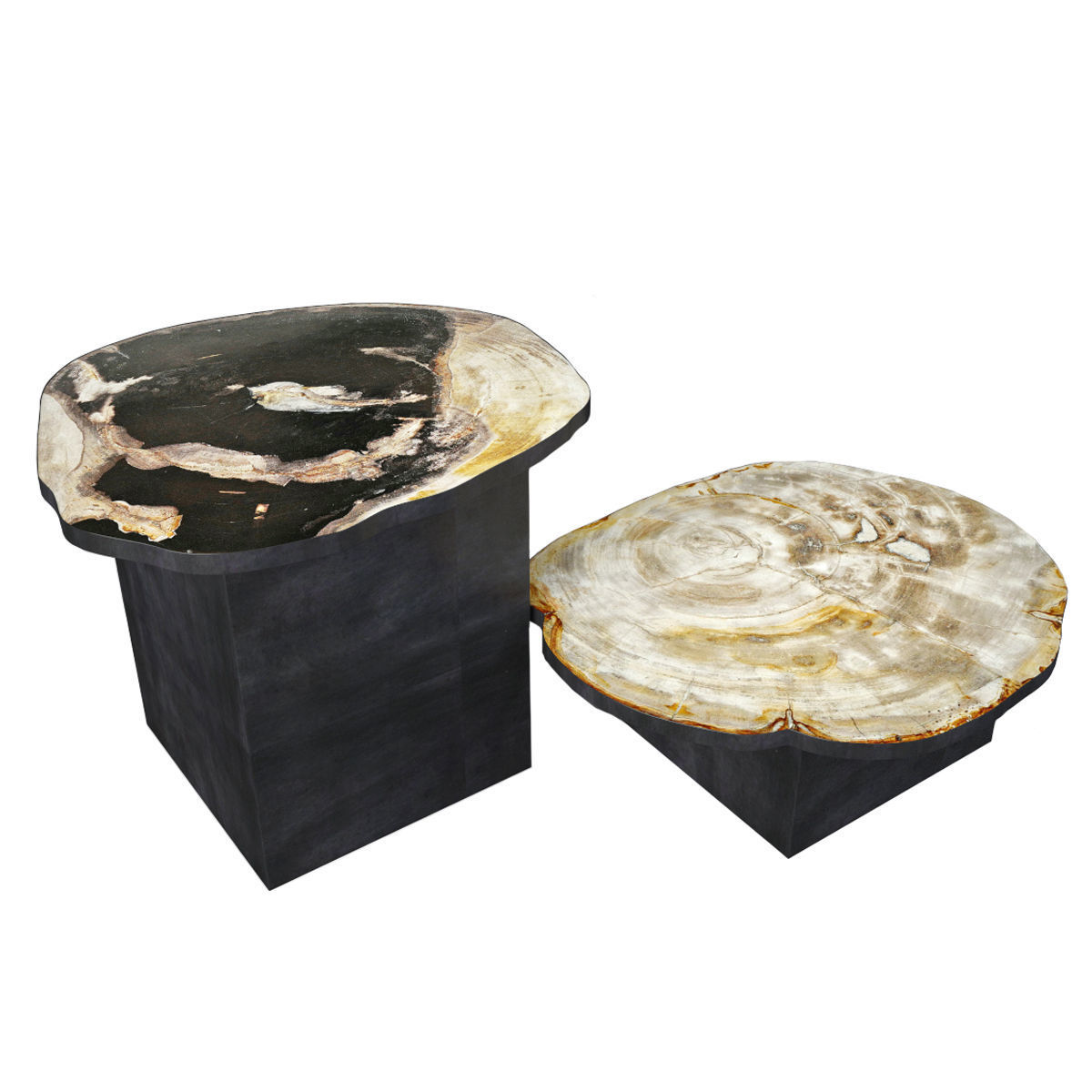 Petrified Wood Slice Coffee Tables 4 3D model_1