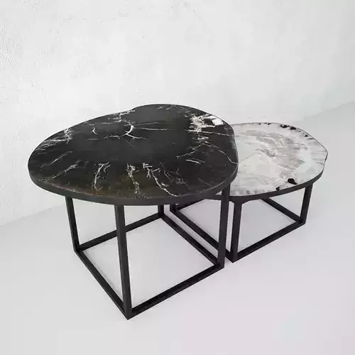 Petrified Wood Slice Coffee Tables 5 3D model