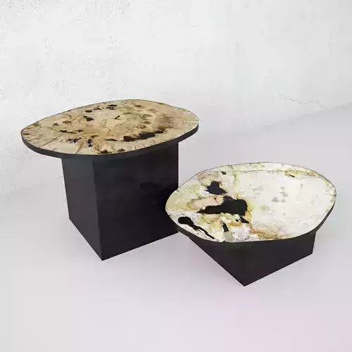 Petrified Wood Slice Coffee Tables 6 3D model