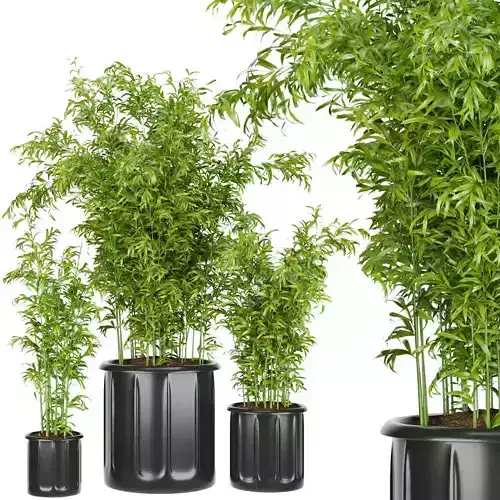 Collection plant vol 96