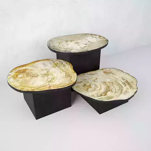 Petrified Wood Slice Coffee Tables 8 3D model